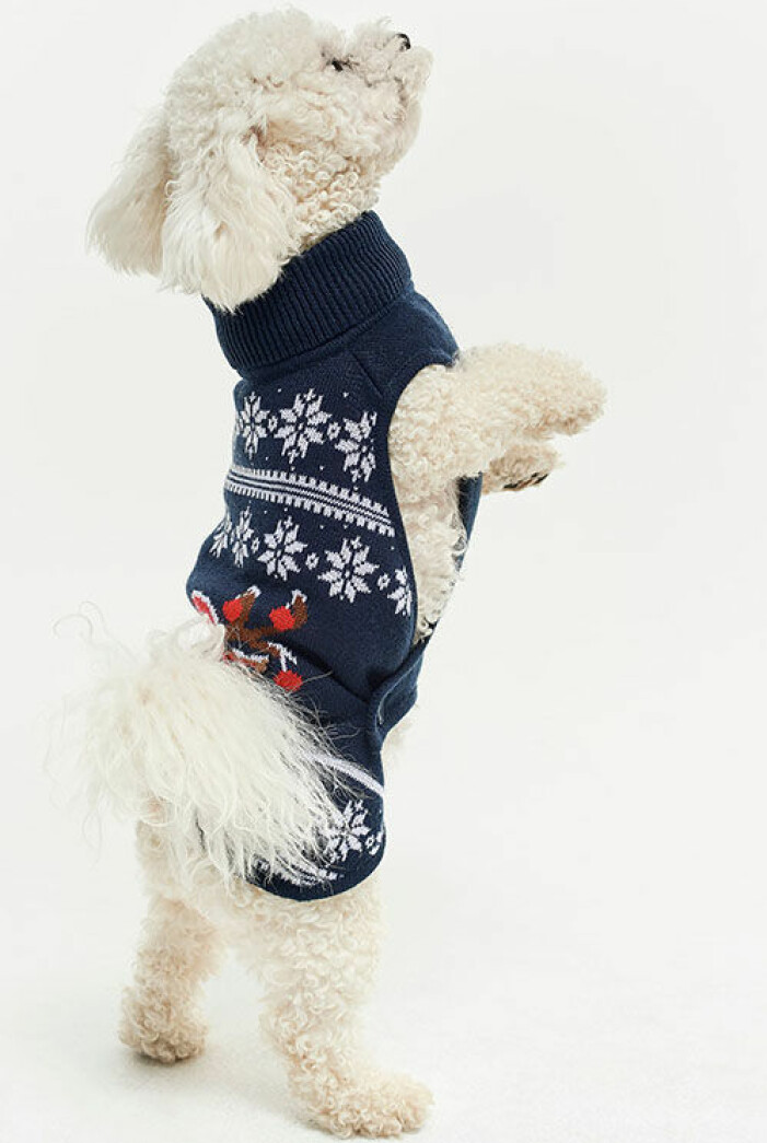 jultroja-hund-ellos-collection