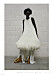JW Andersson AW21 kollektion stickad klänning stylad med byxor.
