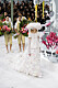 Design av Karl Lagerfeld, bröllopsklänning med hatt.