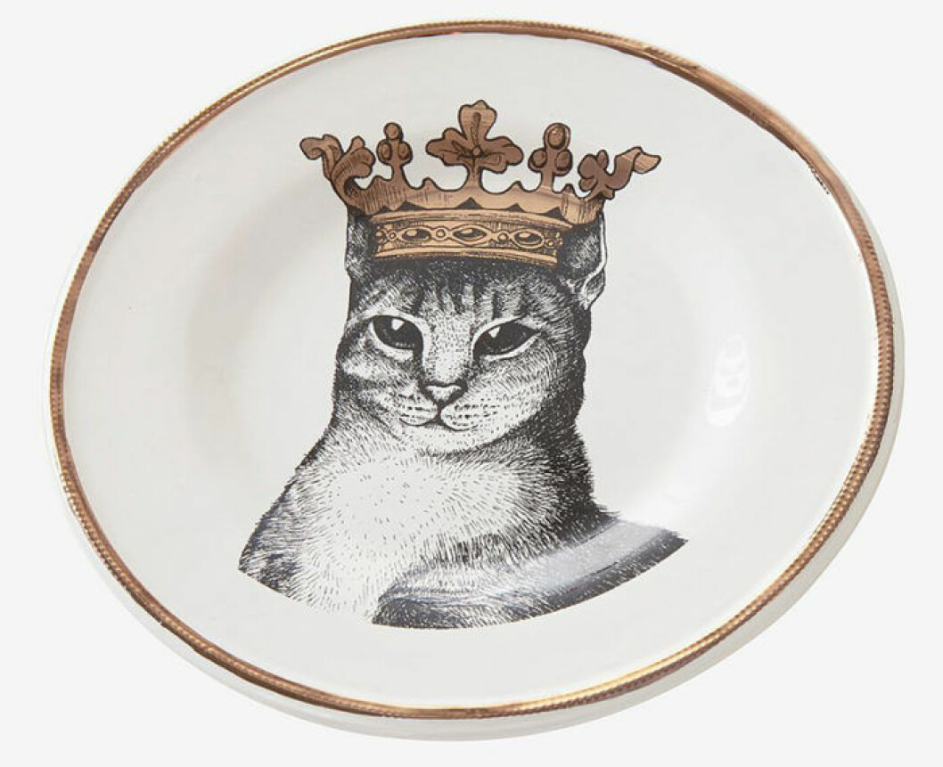 Katt-assietter från Jotex