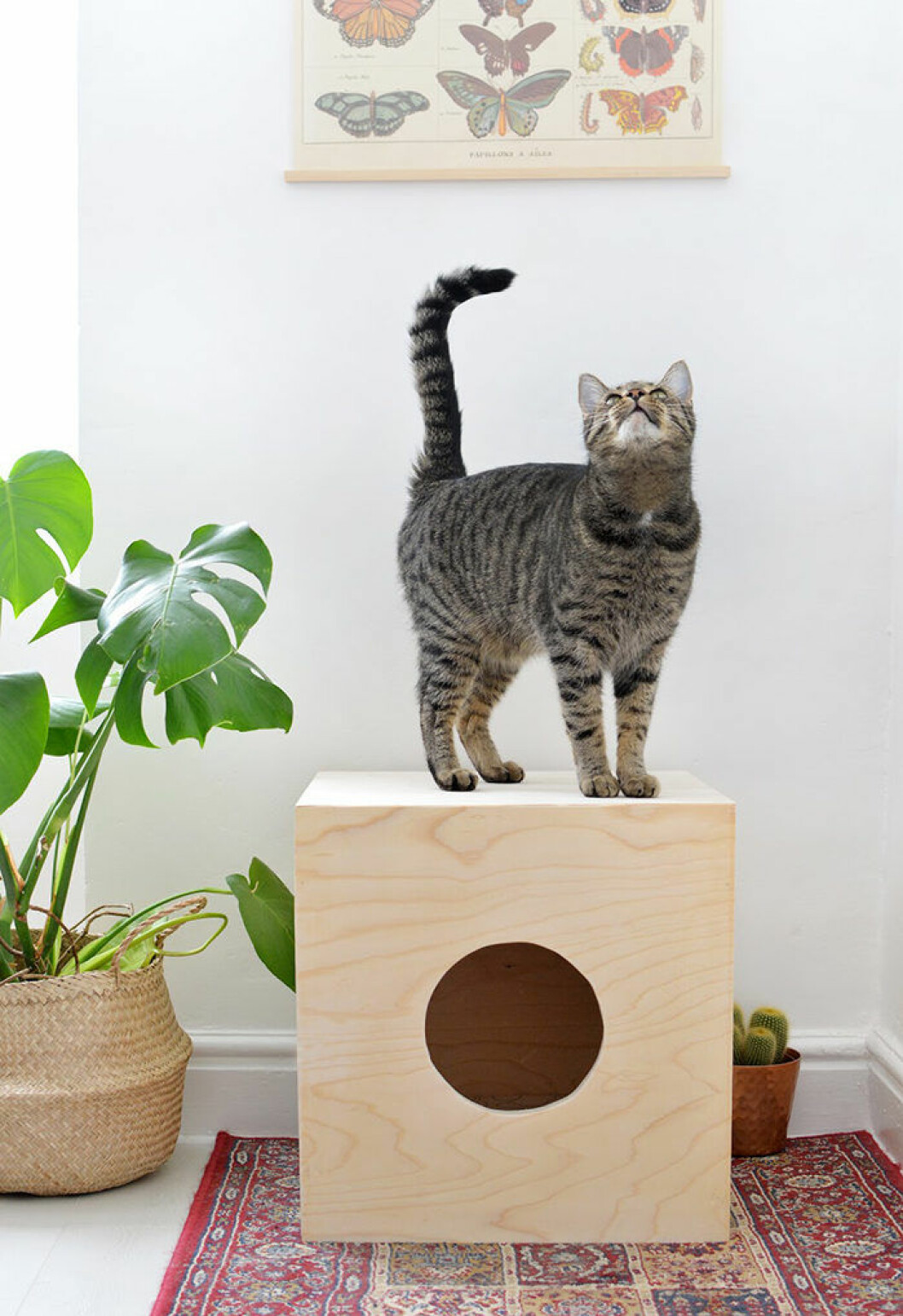 Foto: <a href="http://www.burkatron.com/2016/10/diy-how-to-cat-house-bed.html" target="_blank" rel="noopener">Burkatron</a> DIY hus för katter