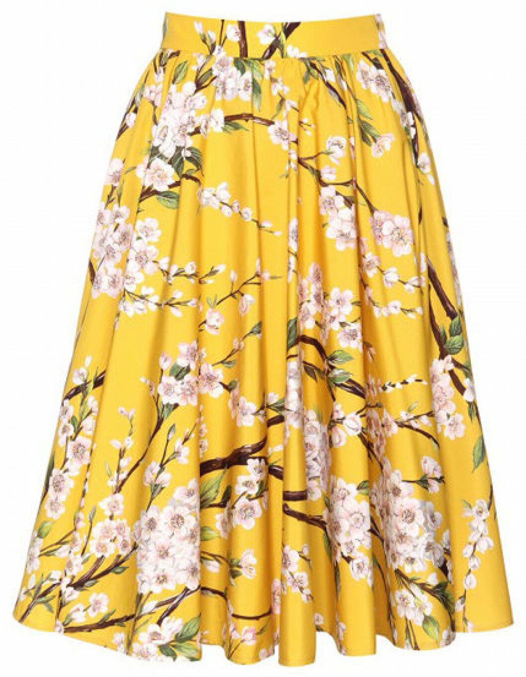 Kjol, 4 674 kr, Dolce & Gabbana Mytheresa.com