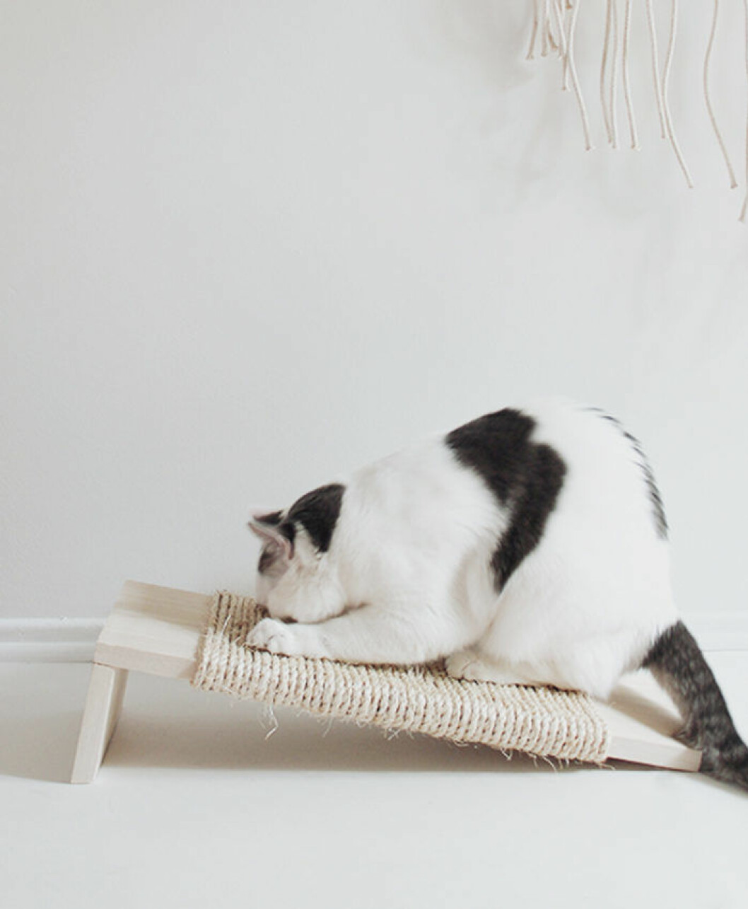 Foto: <a href="http://almostmakesperfect.com/2015/04/28/diy-cat-scratcher/" target="_blank" rel="noopener">Almost makes perfect</a> DIY klösbräda katt