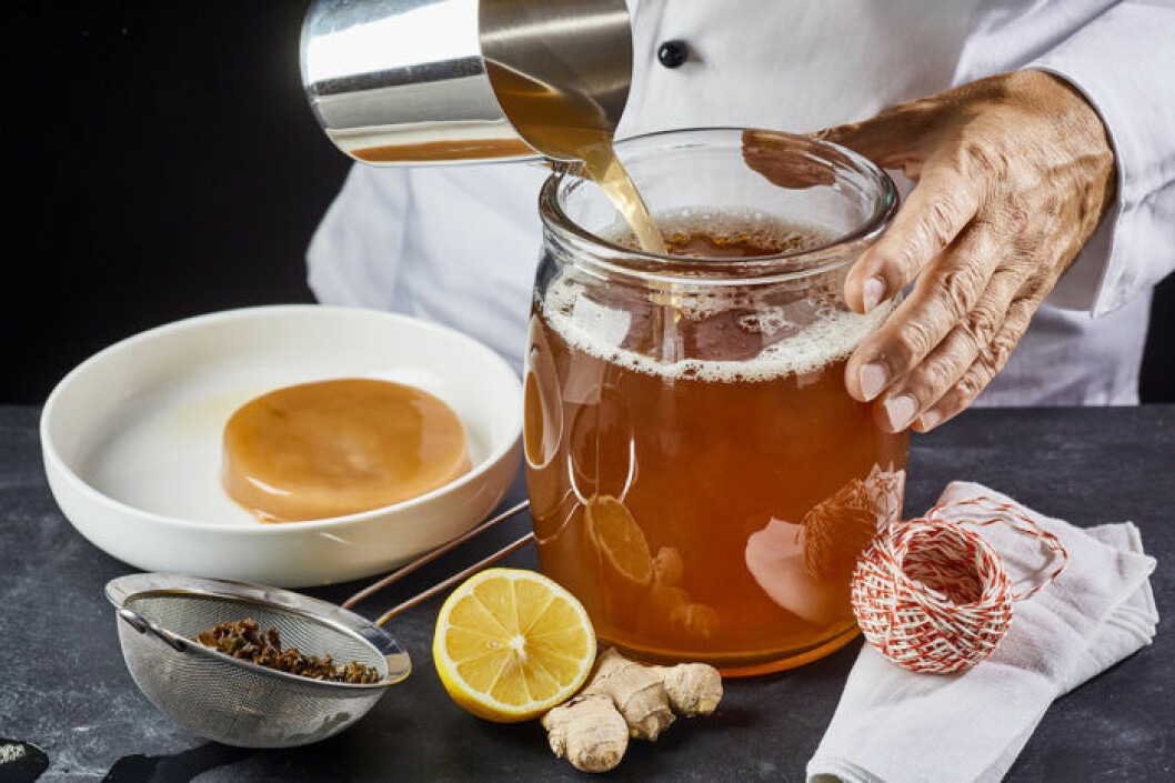En scoby, eller så kallad kombucha-mamma. Foto: Shutterstock En scoby, eller så kallad kombucha-mamma.