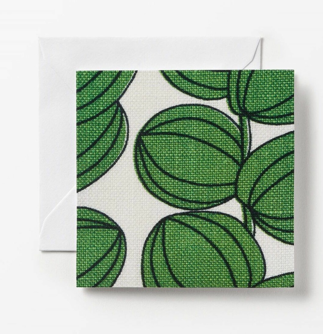 Gåvokort från Svenskt tenn med mönstret Celotocaulis formgivet av Josef Frank.