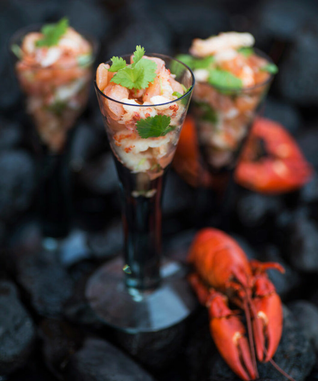 Ceviche med lax och kräftstjärtar. Ceviche med lax och kräftstjärtar.