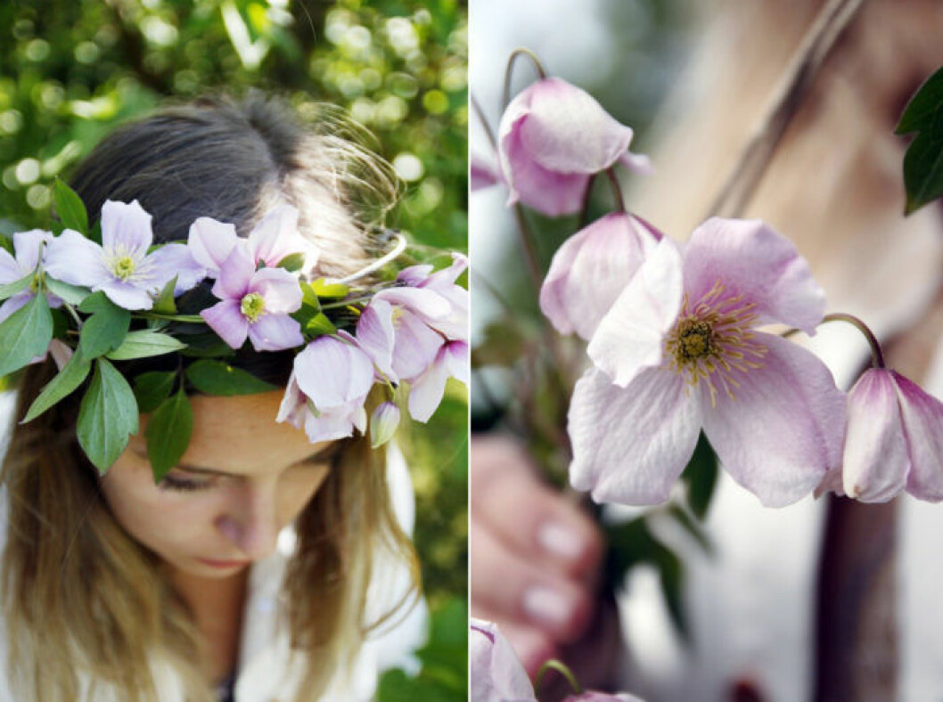 Foto: <a href="http://idamagntorn.femina.se/enklaste-midsommarkransen-sa-gor-du-den/" target="_blank" rel="noopener">Ida Magtorn</a> krans-en-blomma
