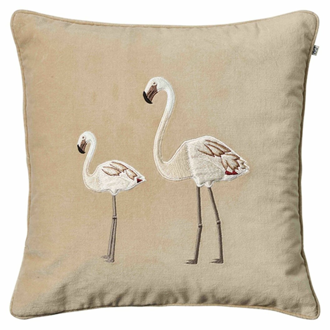 Beige kudde flamingo