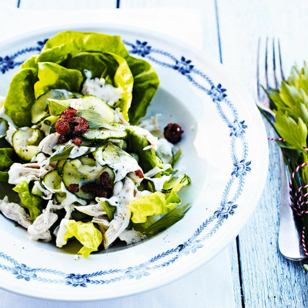 Kycklingsallad med inlagd gurka. Kycklingsallad med inlagd gurka.