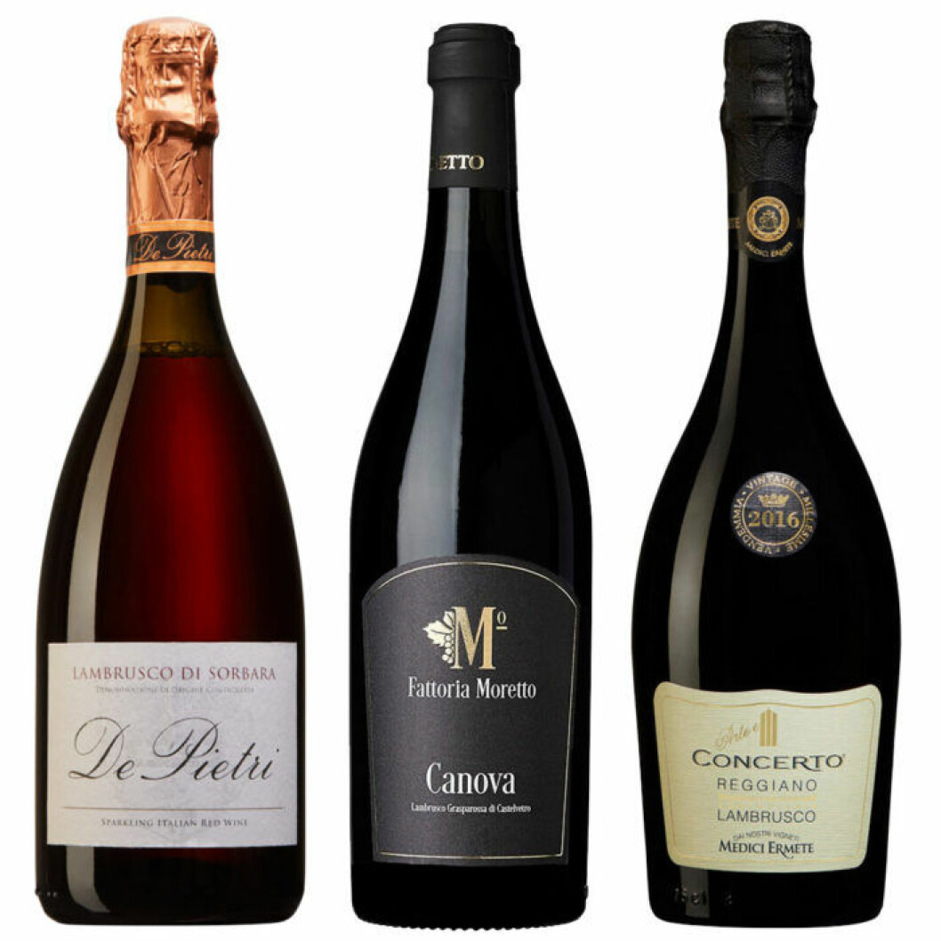 3 goda Lambrusco som passar till antipasti. 3 goda Lambrusco som passar till antipasti.