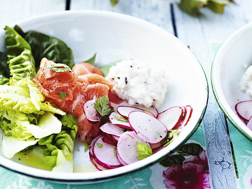 Laxsallad med rädisor och cream cheese-dressing. Laxsallad med rädisor och cream cheese-dressing.