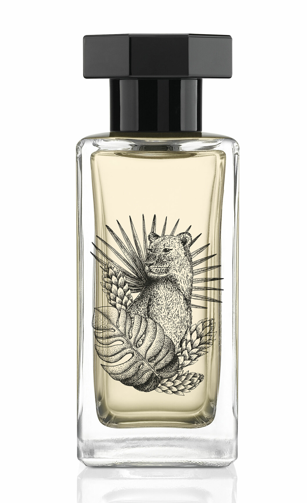 Le Couvent de minimes, Nubica. Le Couvent de minimes, Nubica.