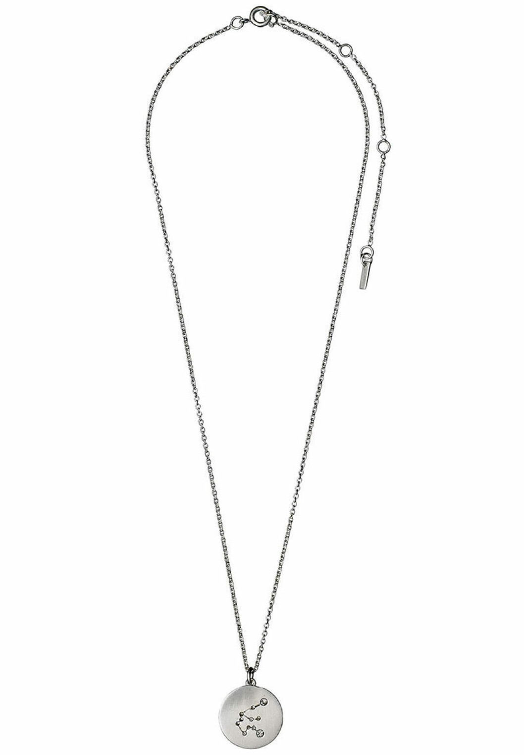 Lejonet horoskop halsband i silver
