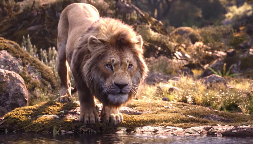 Simba i otecknade Lejonkungen.