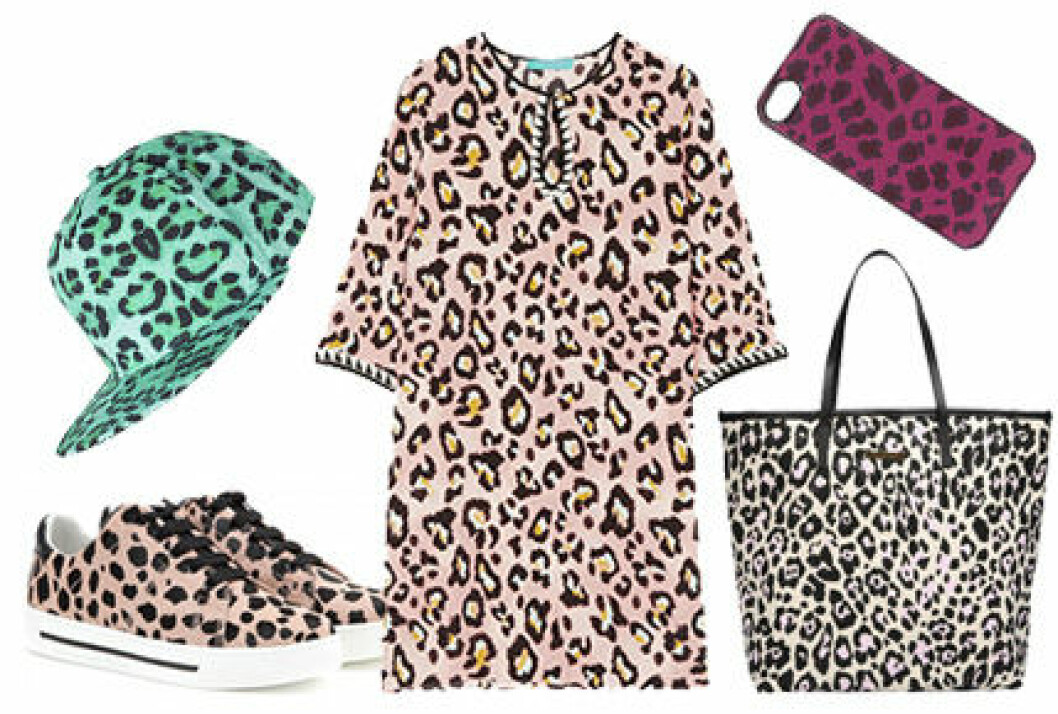 leopard-start2