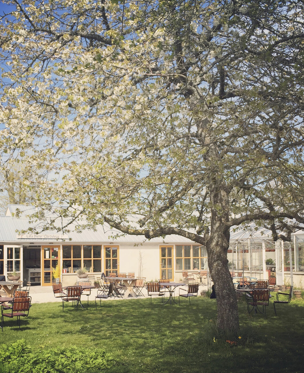 Lilla Bjers, foto gotlandstips.se Lilla Bjers