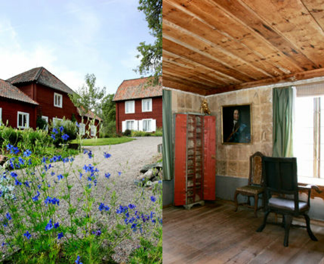 Linnés Hammarby