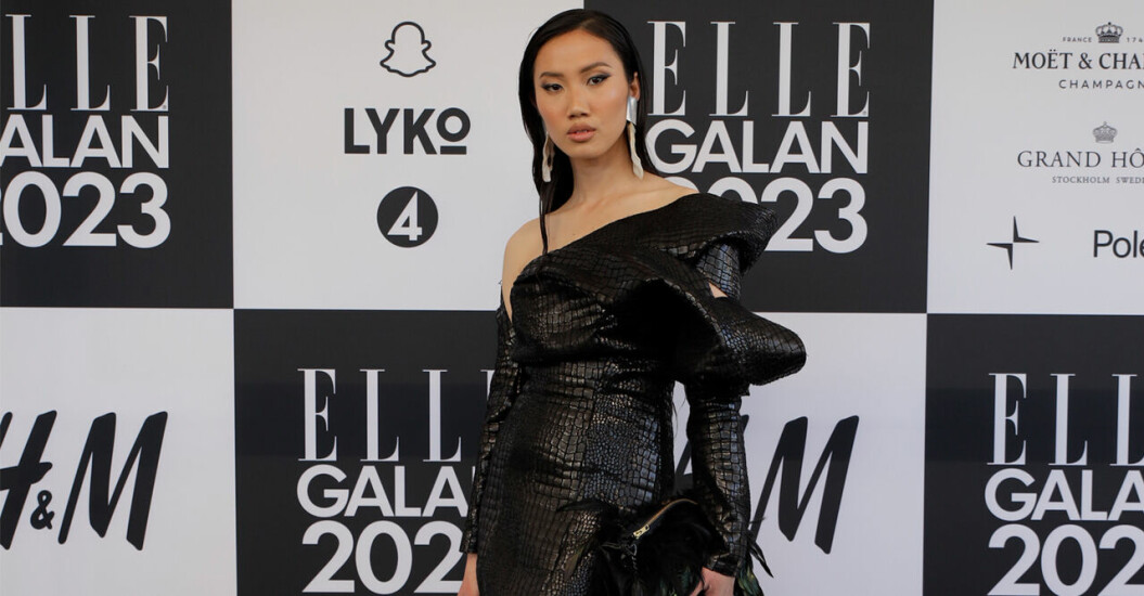 ELLE-galan 2023: Vinnare av Årets blickfång är Louise Xin