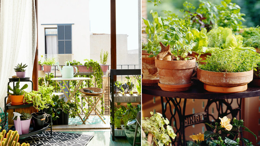 Foto: Ikea / Shutterstock