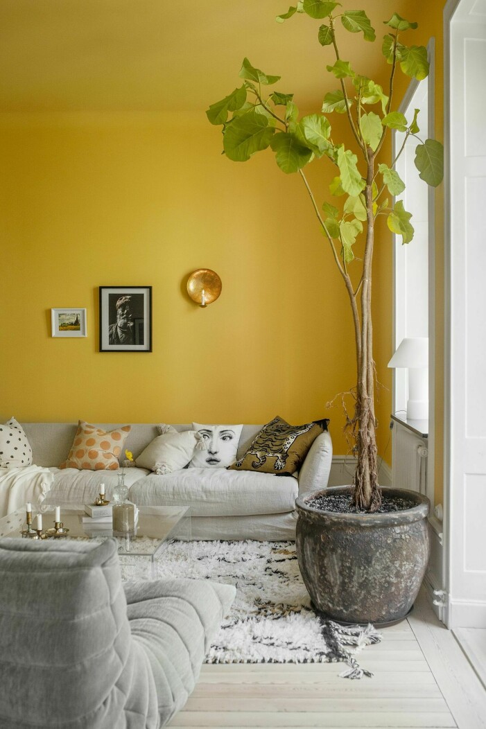 Uppiggande färgfest med Medelhavskänsla hos Helena i Göteborg. Foto: Lina Östling Styling: Mari Strenghielm Syns i: <a target="_blank" href="https://www.elle.se/decoration/fargstarkt-och-ombonat-hemma-hos-helena-sand/5370277">Färgstarkt och ombonat hemma hos Helena Sand</a>. Inred med målade tak, gult