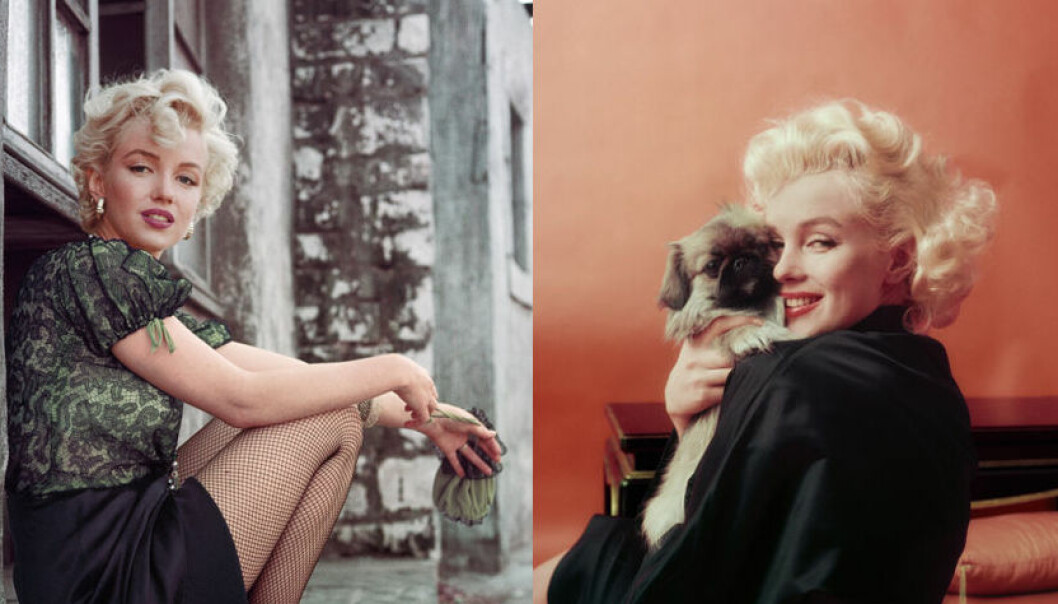 13 ovanliga bilder av Marilyn Monroe – se dem här