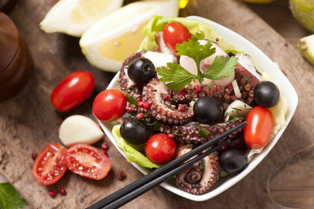 Ölmarinerad bläckfisk. Foto: Shutterstock