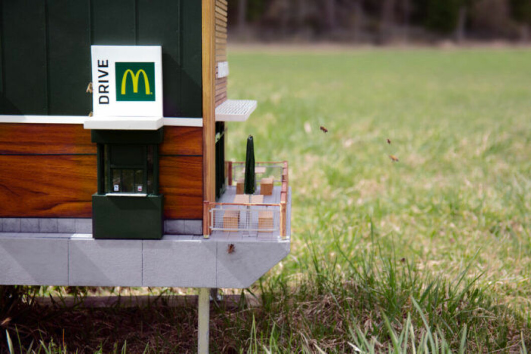 Precis som vettigt folk så går bina in via huvudingången. McDonalds minsta restaurang är en bikupa.