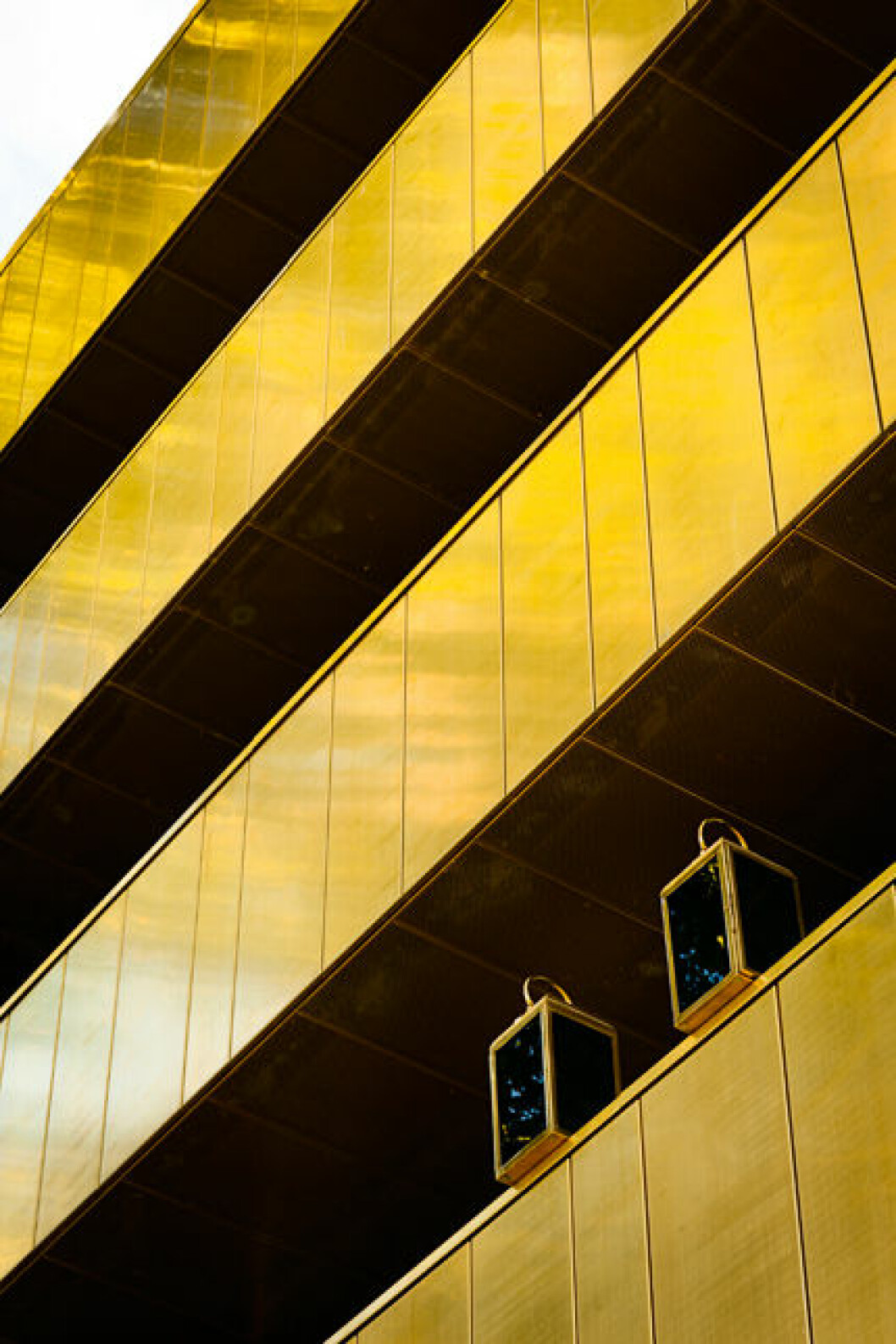 _MG_0369