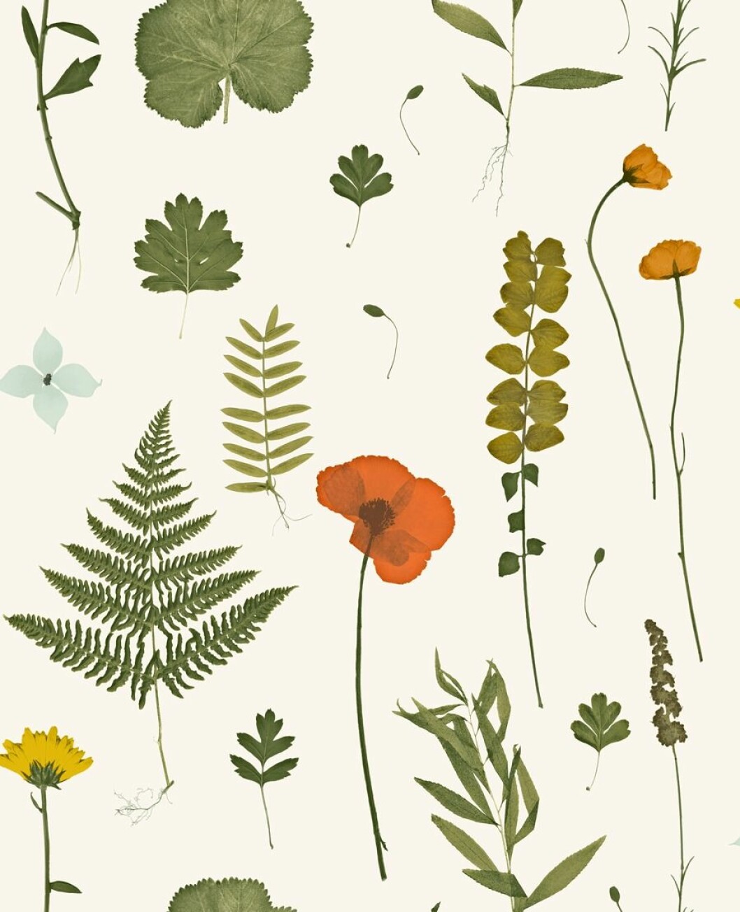 Tapet med blommor, blad och växter