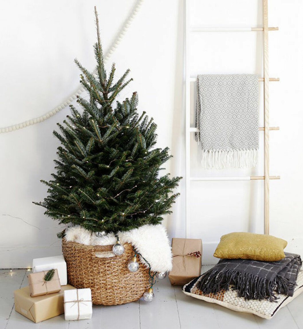 Foto: <a href="http://themerrythought.com/diy/simple-christmas-tree-display/" target="_blank" rel="noopener">The Merry Thought</a> minigran
