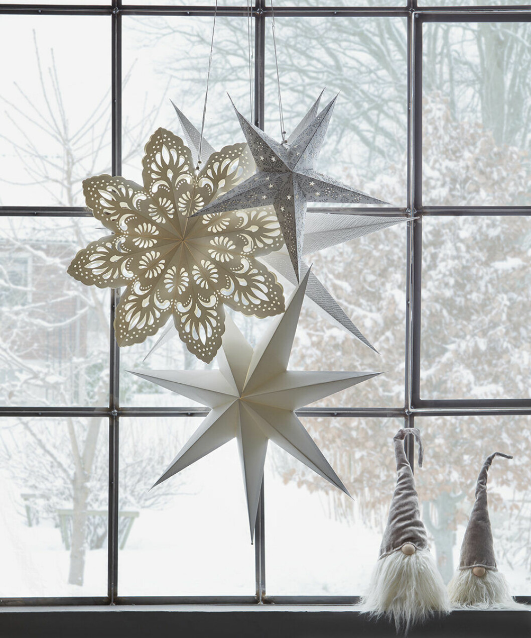 Adventsstjärnor från Mio 2019