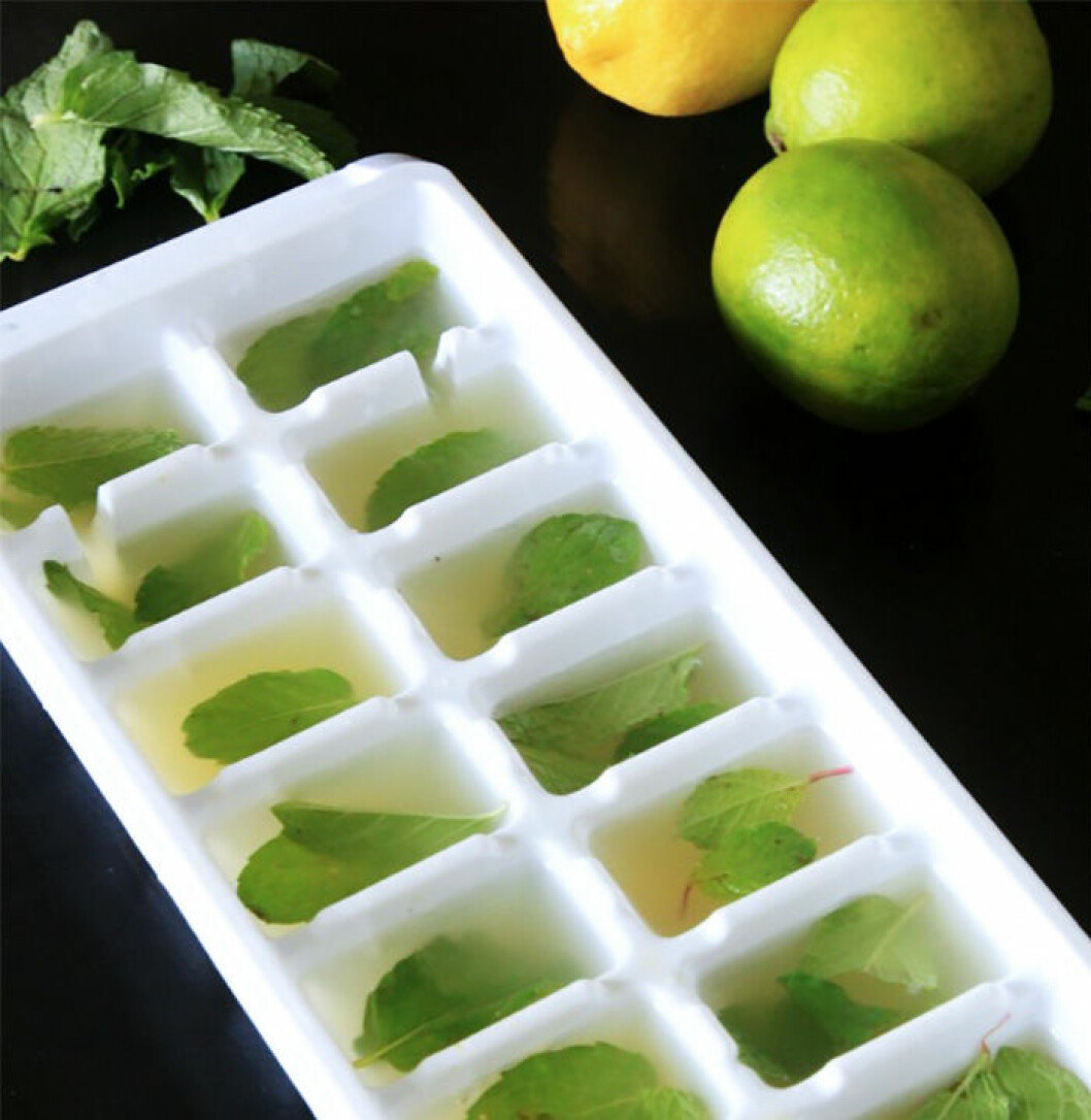 Via: <a href="http://littlegreennotebook.com/2014/10/lemon-mint-water-and-my-soma-carafe.html/" target="_blank" rel="noopener">littlegreennotebook</a>
