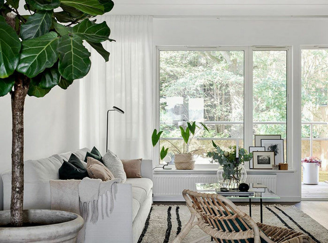 Foto: Maria Sahlander/SE360 för <a href="https://www.instagram.com/bjurfors_goteborg/" target="_blank" rel="noopener">Bjurfors</a>/mäklare: Sarah Gustafsson Naturmaterial i vardagsrummet