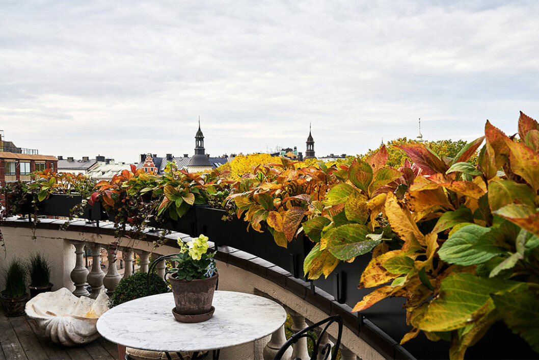 Balkong med utsikt över Östermalm