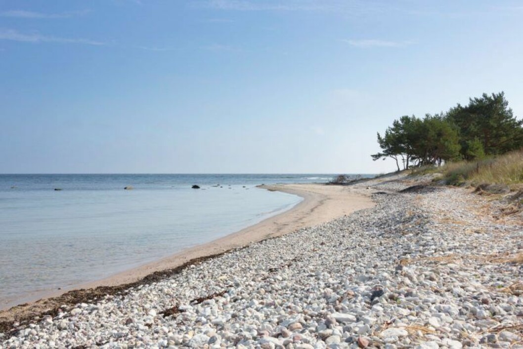 naken män strand