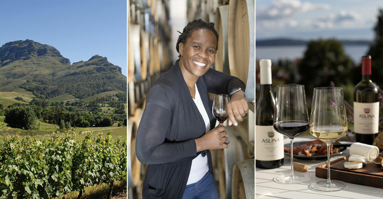 Ntsiki Biyela skriver vinhistoria i Sydafrika