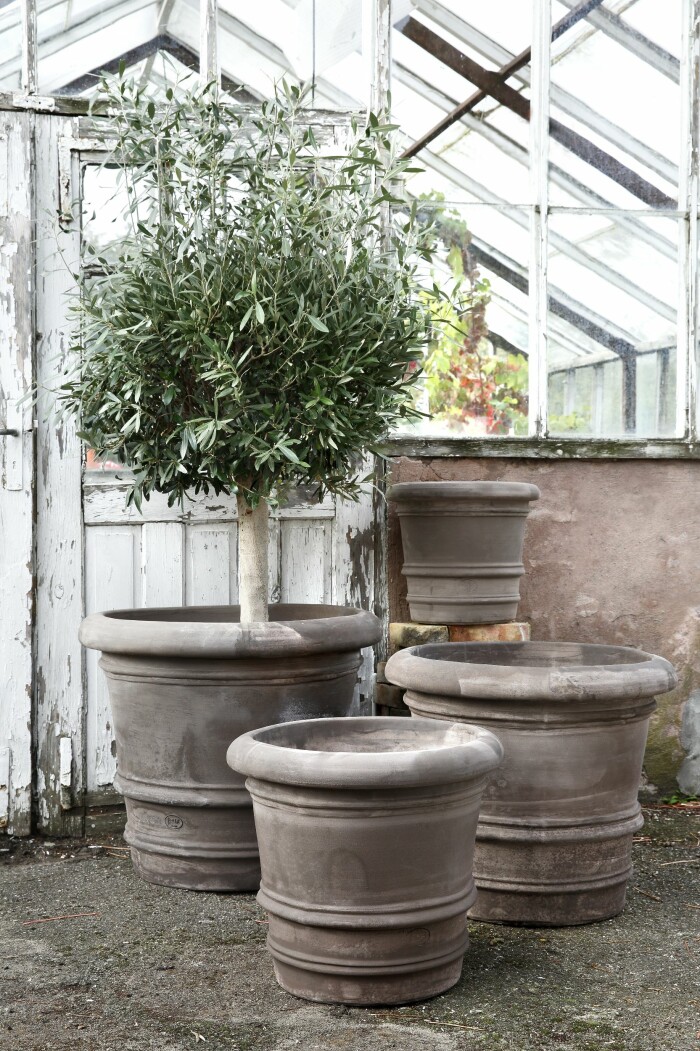 Odla på liten yta - experternas tips Elle Decoration Elin Lannsjö krukor Begs potter