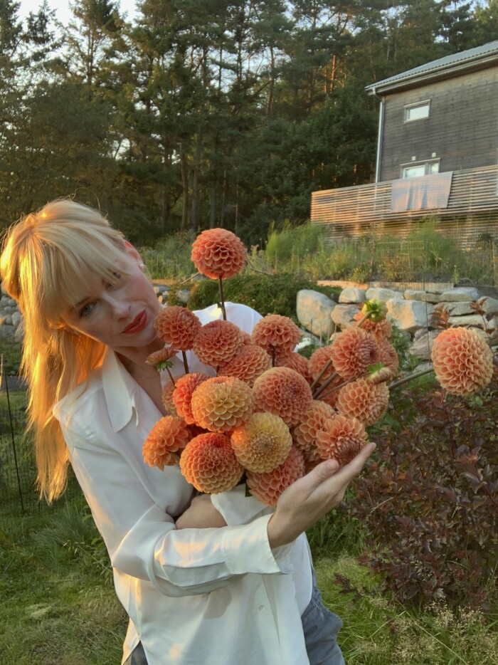 Instagram: @enannanslagstradgard Odla på liten yta - experternas tips Elle Decoration Emily Bratt dahlior