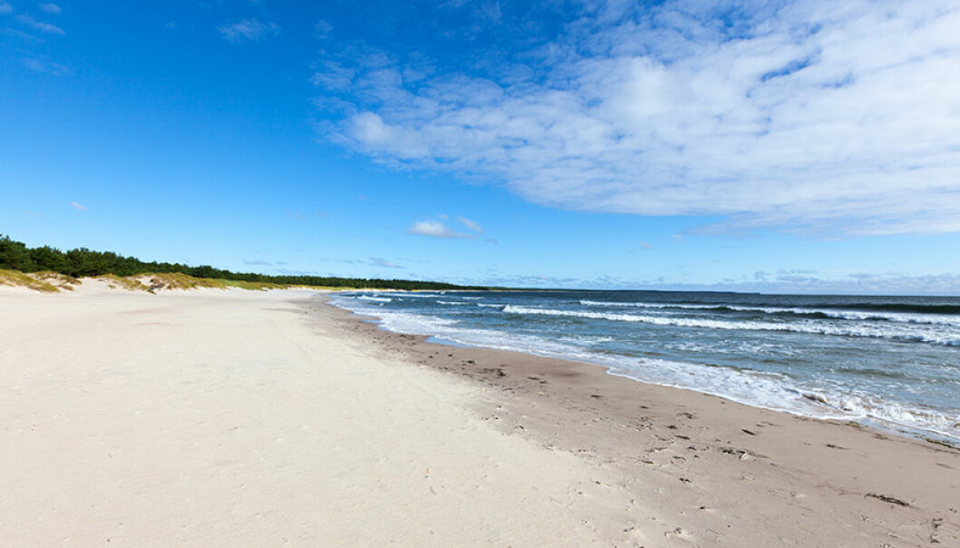 Här är Sveriges 13 härligaste havsbad och stränder