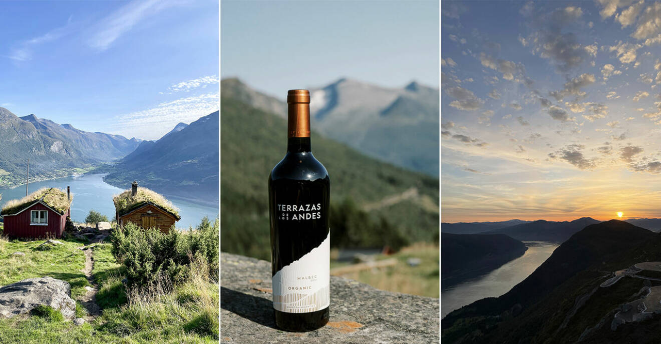 Vin på allra högsta nivå – druvorna som växer i Anderna