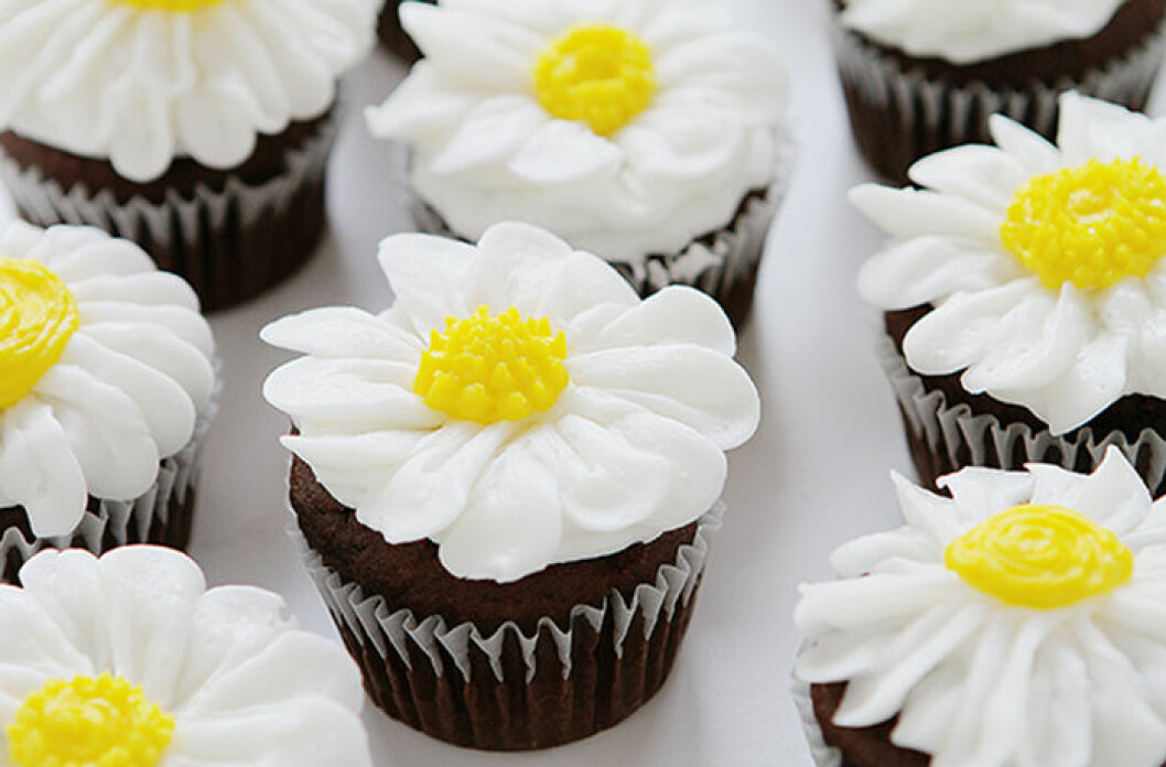 Cupcakes med vårkänsla. Foto & recept:<a href="http://iambaker.net/how-to-pipe-a-buttercream-daisy/" target="_blank" rel="noopener"> I am baker</a> Cupcakes med vårkänsla.