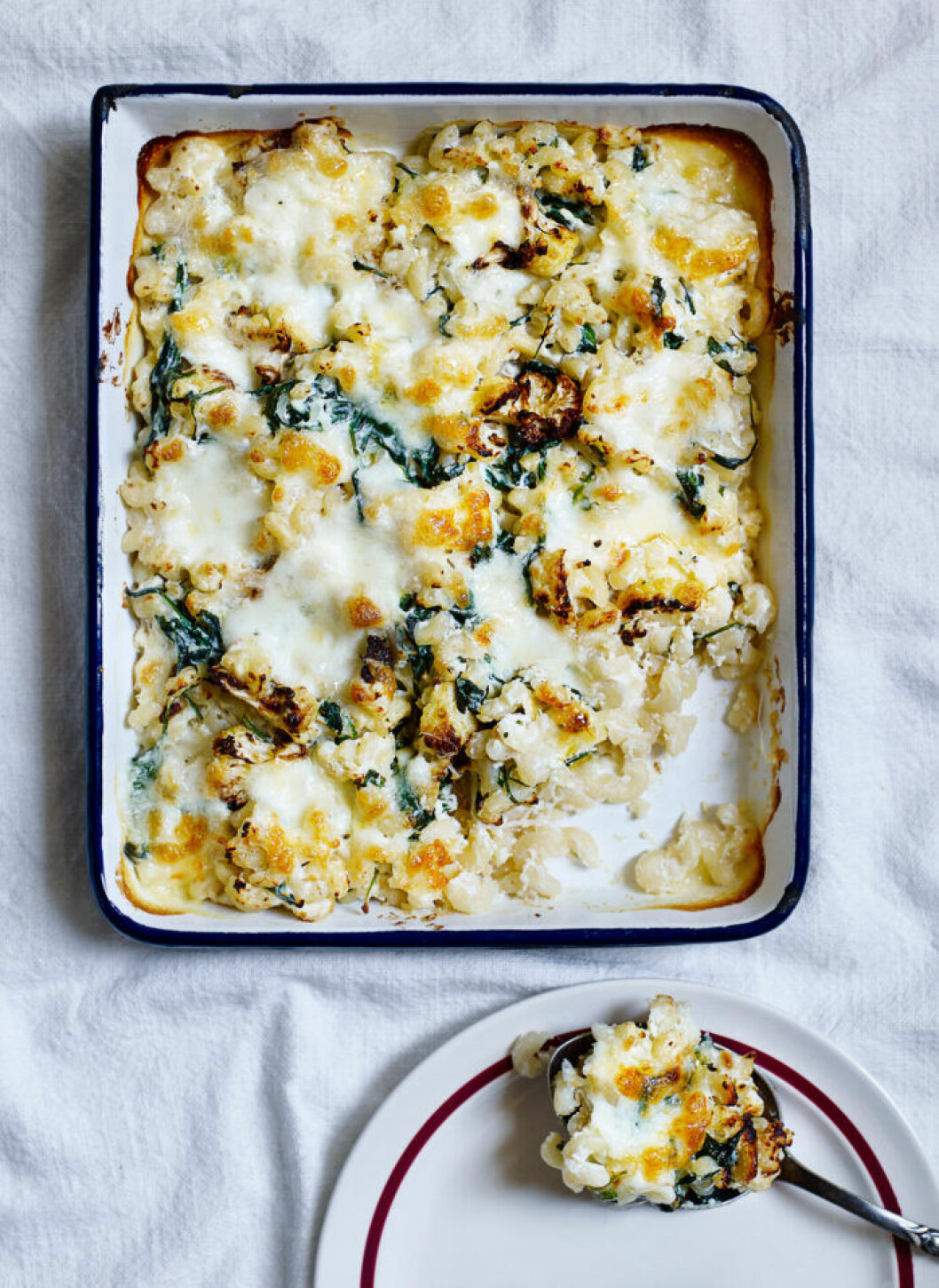 Pastagratäng med blomkål och tryffel. Recept på pastagratäng med blomkål och tryffel