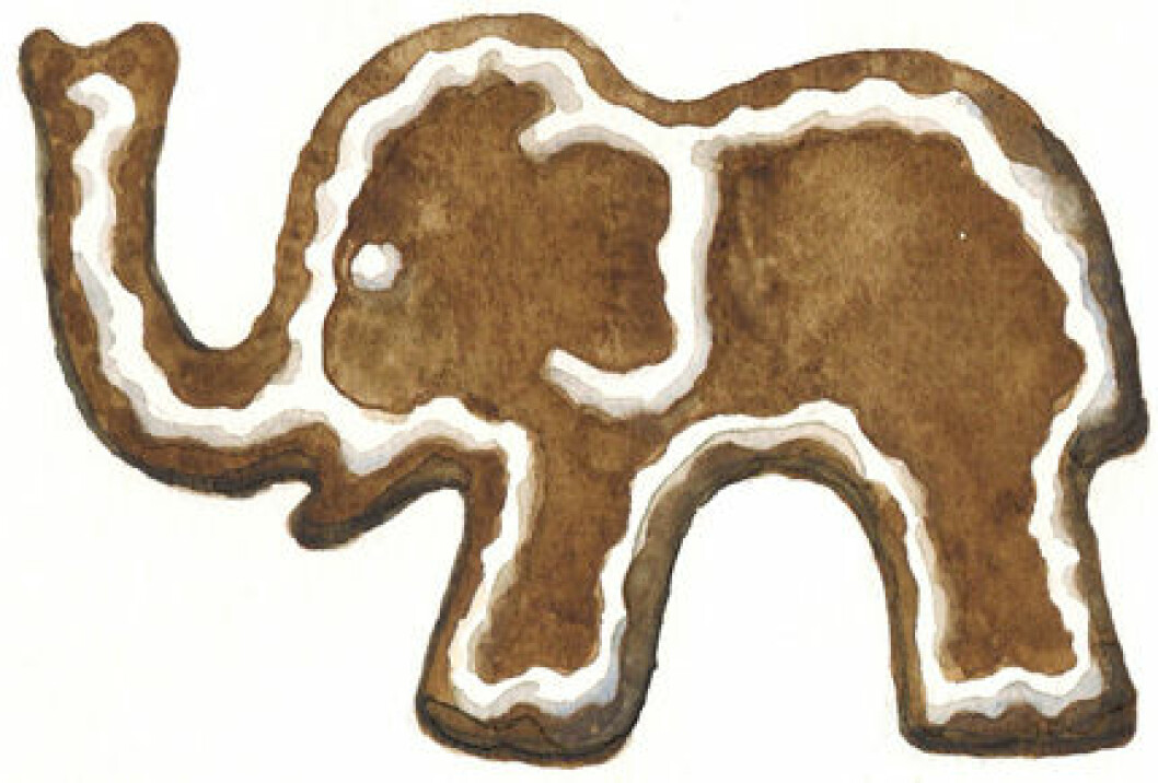 pepparkakor recept