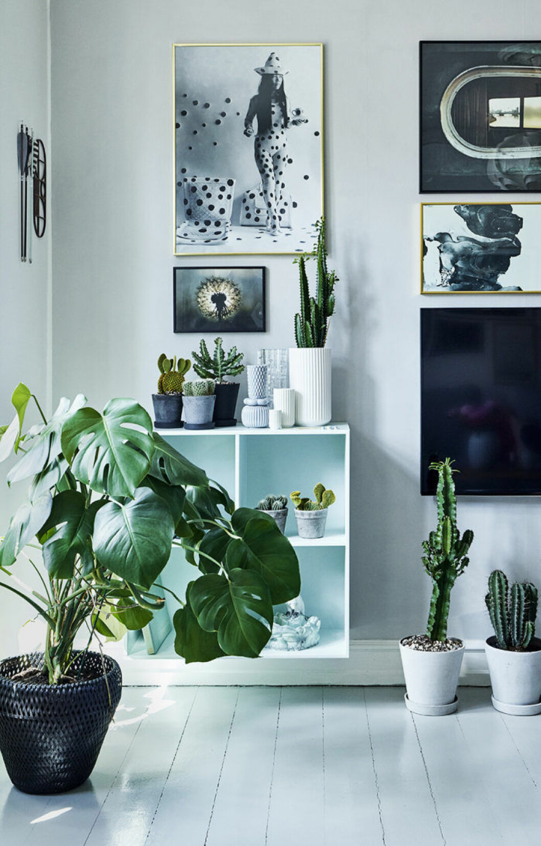 Foto: Martin Sølyst/Living Inside Styling: Eva Marie Wilken Syns i: ”<a href="https://www.elle.se/decoration/harliga-fargkickar-och-vackra-stilleben-i-kopenhamnsvaningen/" target="_blank" rel="noopener">Härliga färgklickar och fina stilleben i Köpenhamn</a>” Monstera är en tålig växt som klarar av mörker.