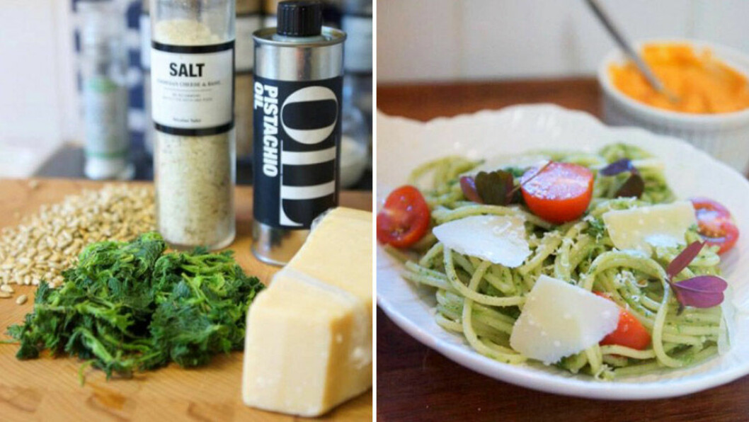 Pesto av brännässlor. Pesto av brännässlor.