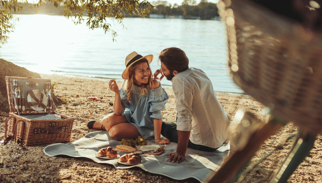 9 steg till den perfekta picknicken