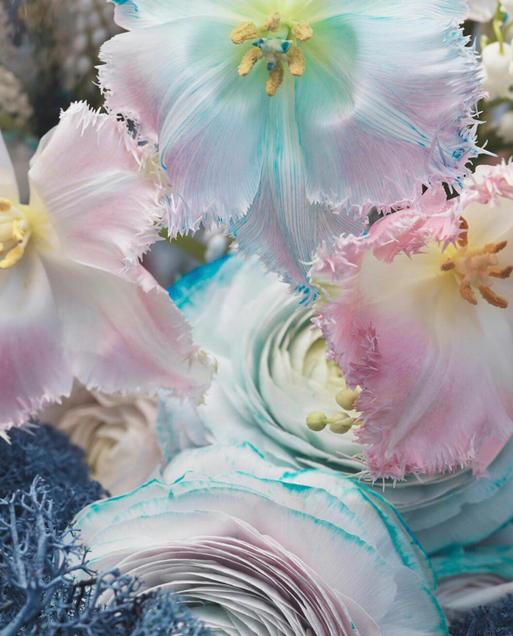 Poppykalas Thilde Maria Haukohl Kristensen blommor