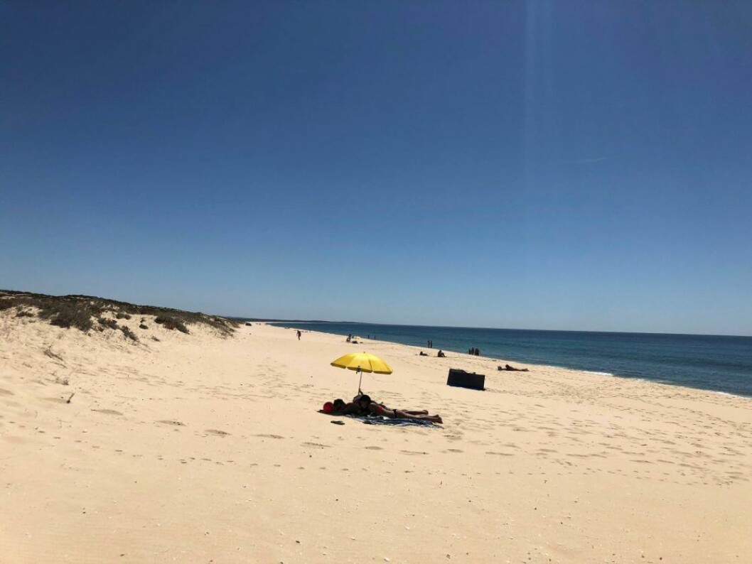 Gott om solplats! Sandstrand, reseguide Comporta i Portugal