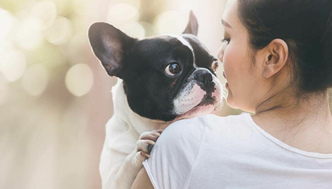 Pratar du med ditt husdjur? Grattis – det betyder att du är intelligent!