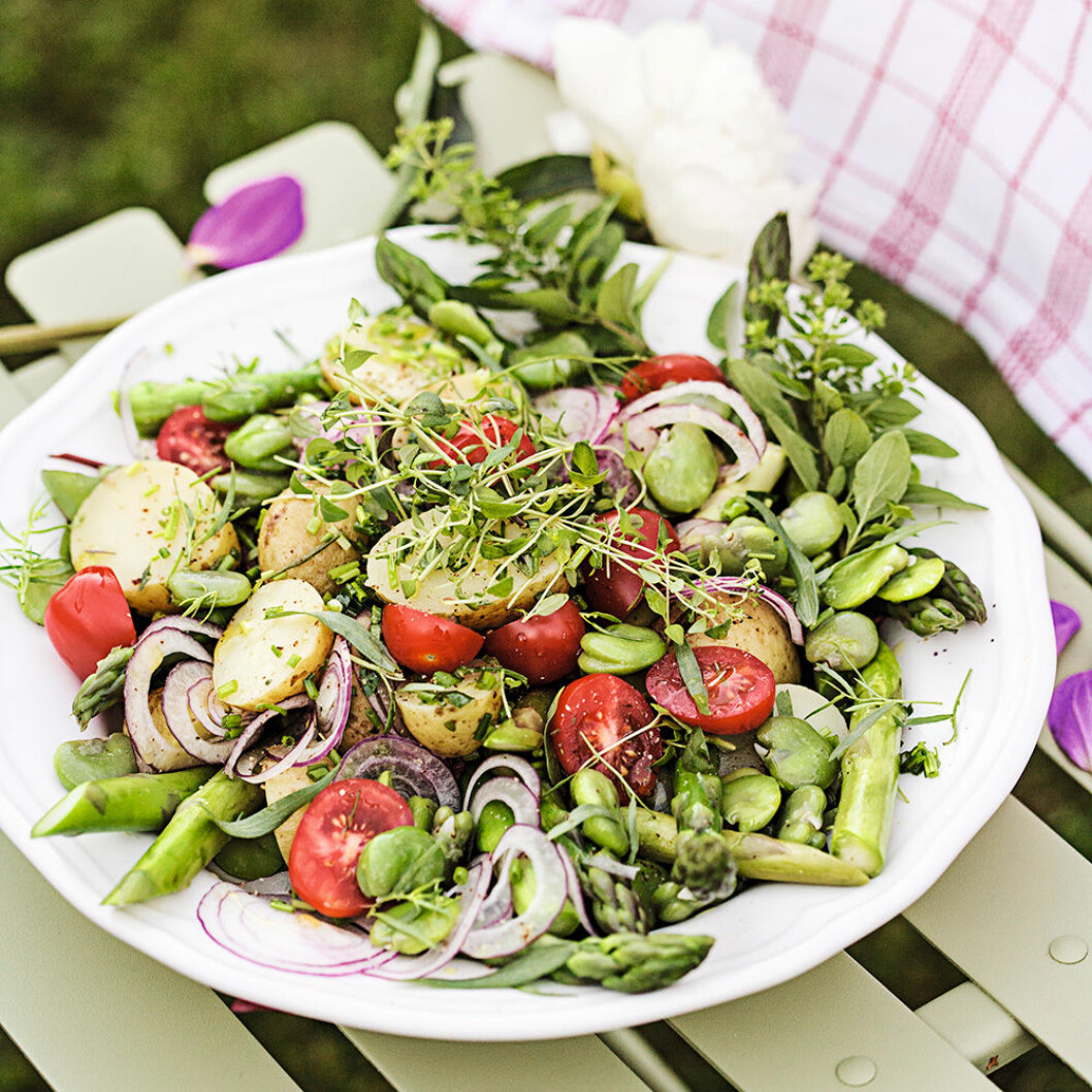 Primörsallad med färskpotatis. Primörsallad med färskpotatis.